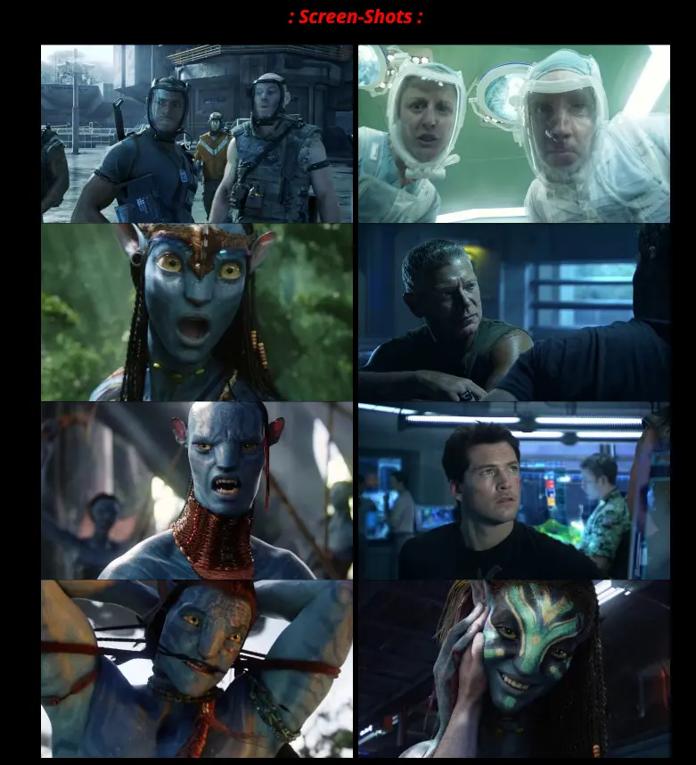 Avatar Full Movie Hindi HD 2009 EXTENDED IMAX BluRay [Hindi (DD5.1) & English] 1080p 720p & 480p Dual Audio [x264/10Bit-HEVC] | Full Movie Screenshot